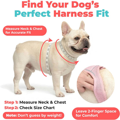 Voyager Step-in Air Dog Vest Harness - Moss Green, Medium | 16 - 18" in Chest, Reflective Bands, All Weather Breathable Air Mesh, Cats Compatible, Lightweight, Fast Drying - Colors B