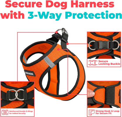 Voyager Step-in Air Dog Vest Harness - Moss Green, Medium | 16 - 18" in Chest, Reflective Bands, All Weather Breathable Air Mesh, Cats Compatible, Lightweight, Fast Drying - Colors B