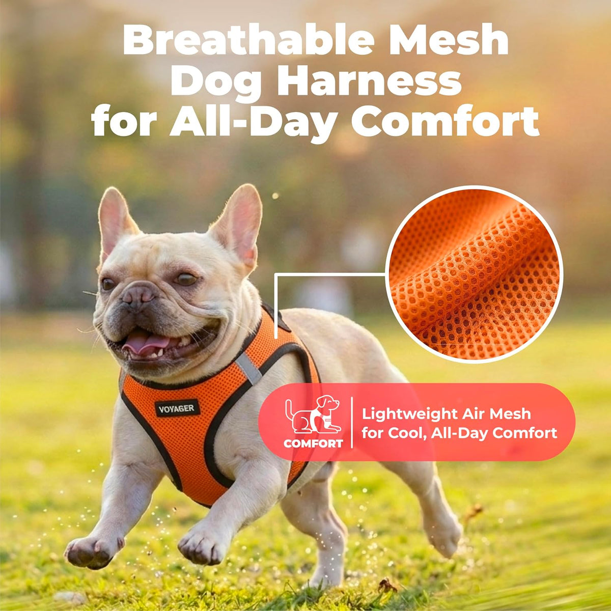 Voyager Step-in Air Dog Vest Harness - Moss Green, Medium | 16 - 18" in Chest, Reflective Bands, All Weather Breathable Air Mesh, Cats Compatible, Lightweight, Fast Drying - Colors B