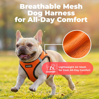 Voyager Step-in Air Dog Vest Harness - Moss Green, Medium | 16 - 18" in Chest, Reflective Bands, All Weather Breathable Air Mesh, Cats Compatible, Lightweight, Fast Drying - Colors B