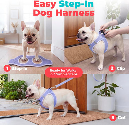 Voyager Step-in Air Dog Vest Harness - Moss Green, Medium | 16 - 18" in Chest, Reflective Bands, All Weather Breathable Air Mesh, Cats Compatible, Lightweight, Fast Drying - Colors B