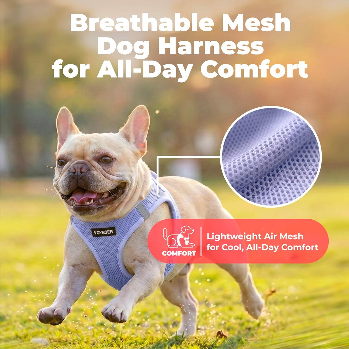 Voyager Step-in Air Dog Vest Harness - Moss Green, Medium | 16 - 18" in Chest, Reflective Bands, All Weather Breathable Air Mesh, Cats Compatible, Lightweight, Fast Drying - Colors B