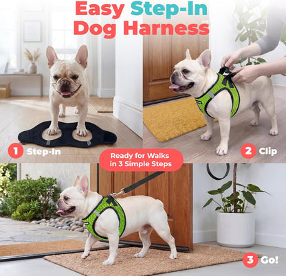 Voyager Step-in Air Dog Vest Harness - Moss Green, Medium | 16 - 18" in Chest, Reflective Bands, All Weather Breathable Air Mesh, Cats Compatible, Lightweight, Fast Drying - Colors B