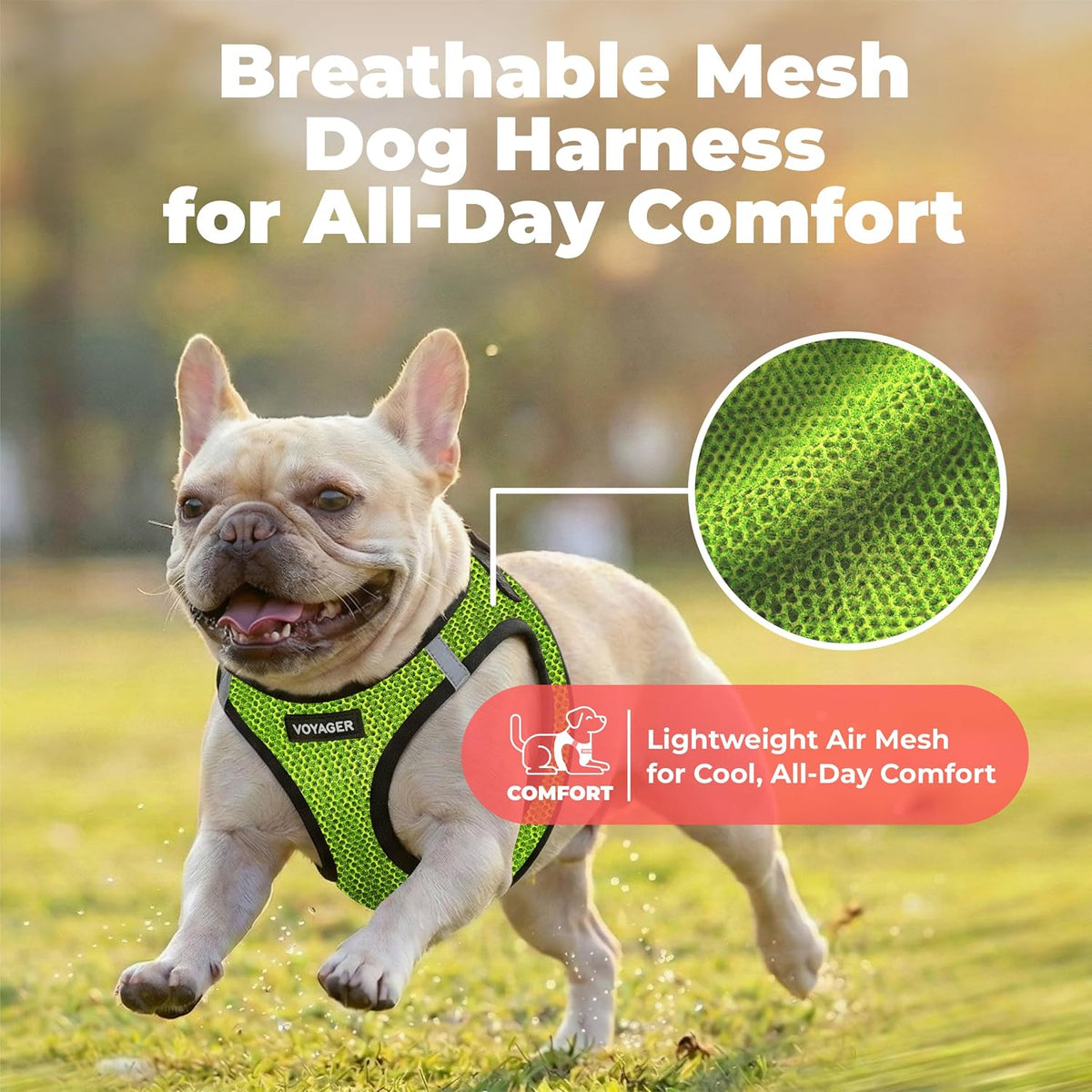 Voyager Step-in Air Dog Vest Harness - Moss Green, Medium | 16 - 18" in Chest, Reflective Bands, All Weather Breathable Air Mesh, Cats Compatible, Lightweight, Fast Drying - Colors B