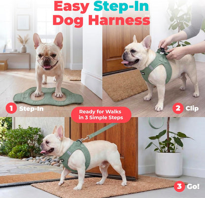 Voyager Step-in Air Dog Vest Harness - Moss Green, Medium | 16 - 18" in Chest, Reflective Bands, All Weather Breathable Air Mesh, Cats Compatible, Lightweight, Fast Drying - Colors B