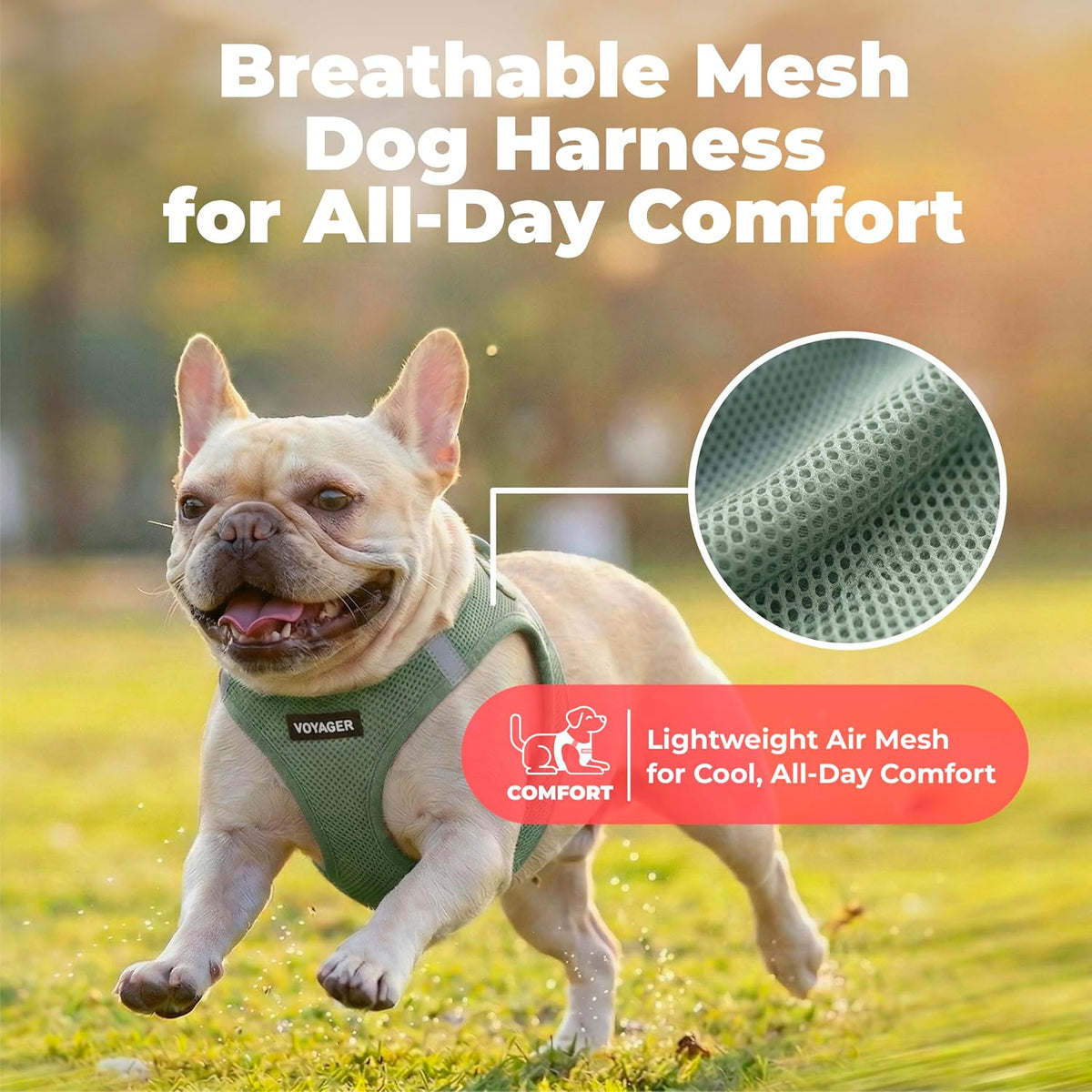 Voyager Step-in Air Dog Vest Harness - Moss Green, Medium | 16 - 18" in Chest, Reflective Bands, All Weather Breathable Air Mesh, Cats Compatible, Lightweight, Fast Drying - Colors B