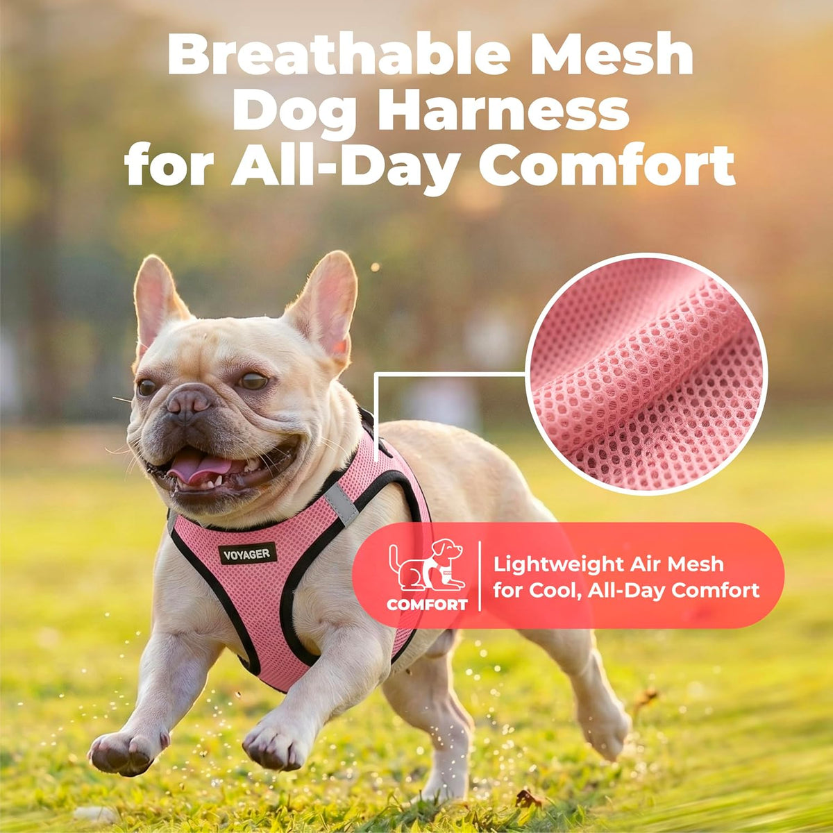 Voyager Step-in Air Dog Vest Harness - Moss Green, Medium | 16 - 18" in Chest, Reflective Bands, All Weather Breathable Air Mesh, Cats Compatible, Lightweight, Fast Drying - Colors B