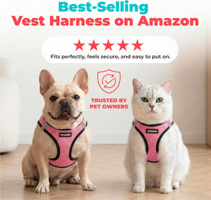 Voyager Step-in Air Dog Vest Harness - Moss Green, Medium | 16 - 18" in Chest, Reflective Bands, All Weather Breathable Air Mesh, Cats Compatible, Lightweight, Fast Drying - Colors B