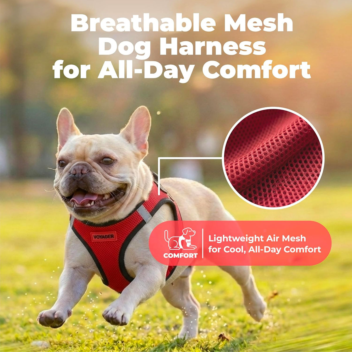 Voyager Step-in Air Dog Vest Harness - Moss Green, Medium | 16 - 18" in Chest, Reflective Bands, All Weather Breathable Air Mesh, Cats Compatible, Lightweight, Fast Drying - Colors B