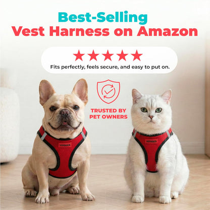 Voyager Step-in Air Dog Vest Harness - Moss Green, Medium | 16 - 18" in Chest, Reflective Bands, All Weather Breathable Air Mesh, Cats Compatible, Lightweight, Fast Drying - Colors B