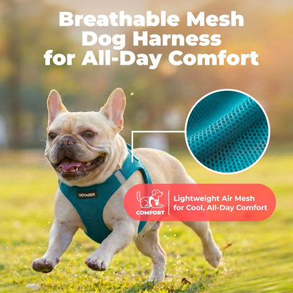 Voyager Step-in Air Dog Vest Harness - Moss Green, Medium | 16 - 18" in Chest, Reflective Bands, All Weather Breathable Air Mesh, Cats Compatible, Lightweight, Fast Drying - Colors B
