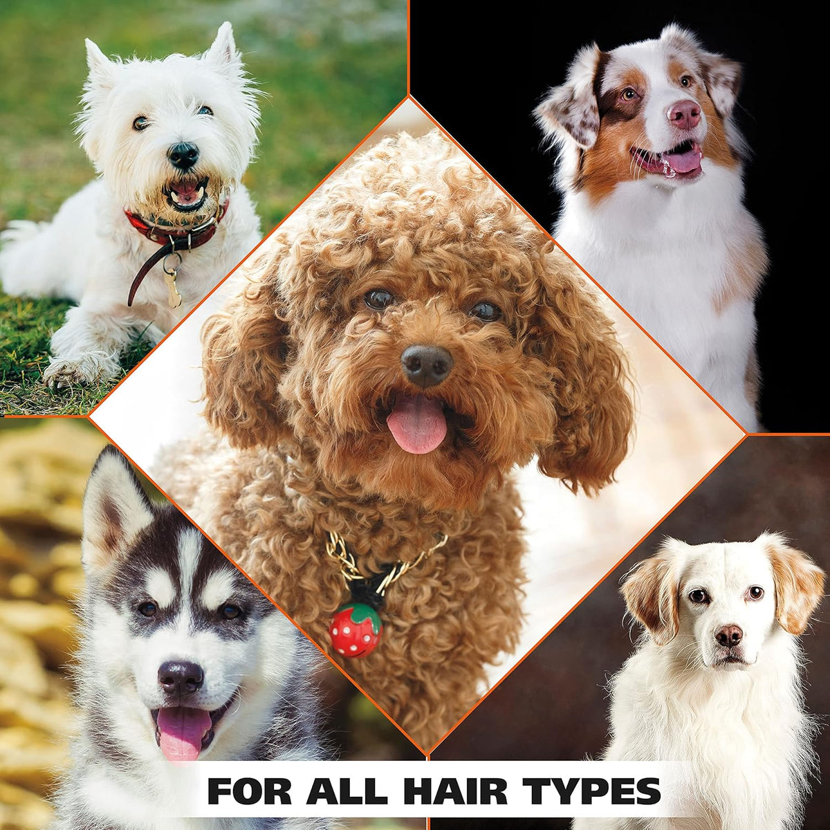 USA 4-in-1 Calming Dog Shampoo with Lavender Chamomile Scent – Cleans, Conditions, Detangles, & Moisturizes - Pet Friendly Formula - 24 Oz - Model 820000A