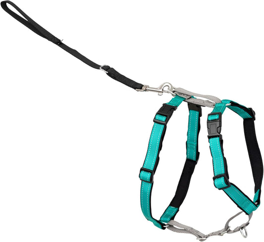 Easy Walk 3 in 1 No Pull Dog Harness, Teal, Small