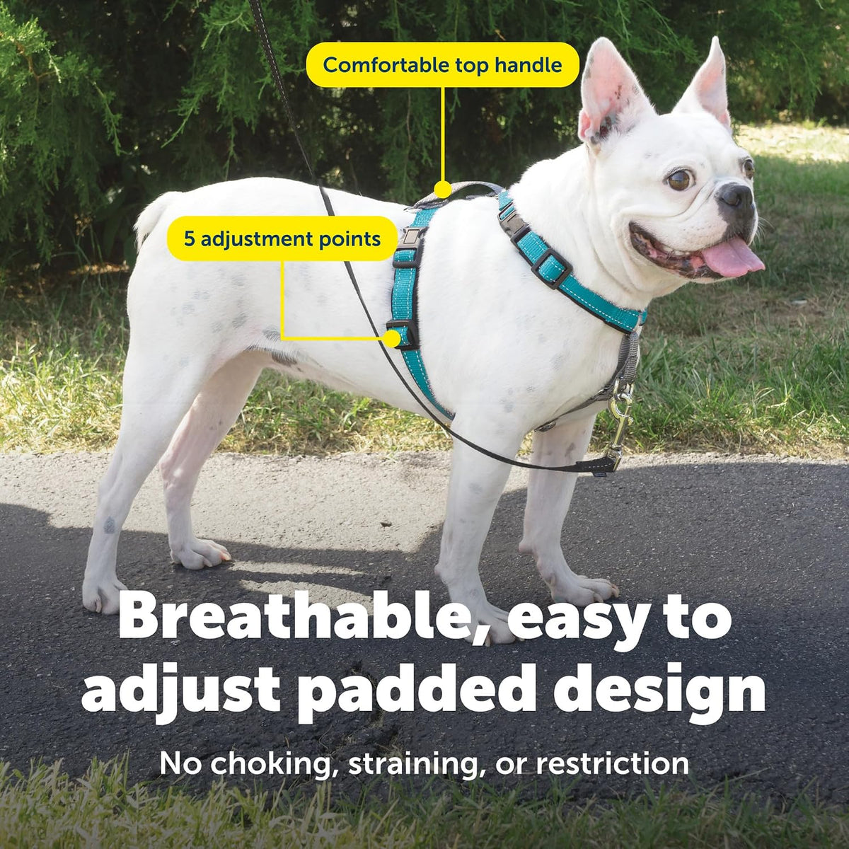 Easy Walk 3 in 1 No Pull Dog Harness, Teal, Small