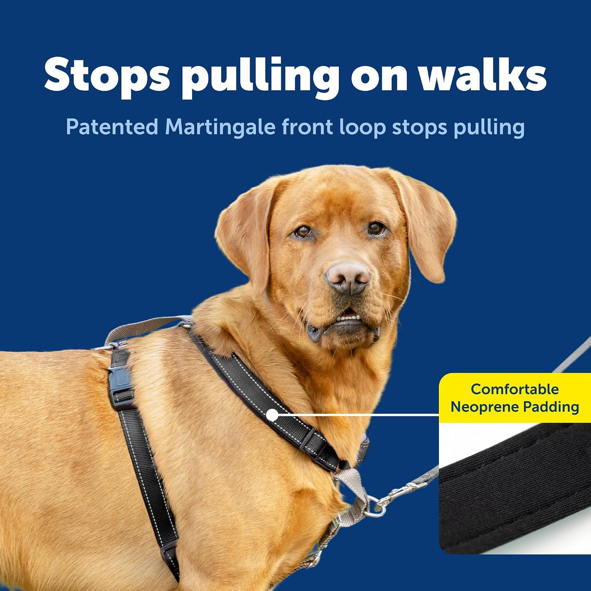 Easy Walk 3 in 1 No Pull Dog Harness, Teal, Small