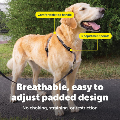 Easy Walk 3 in 1 No Pull Dog Harness, Teal, Small