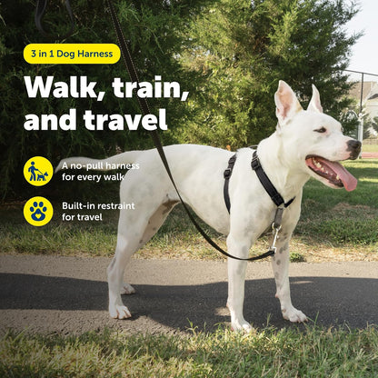 Easy Walk 3 in 1 No Pull Dog Harness, Teal, Small