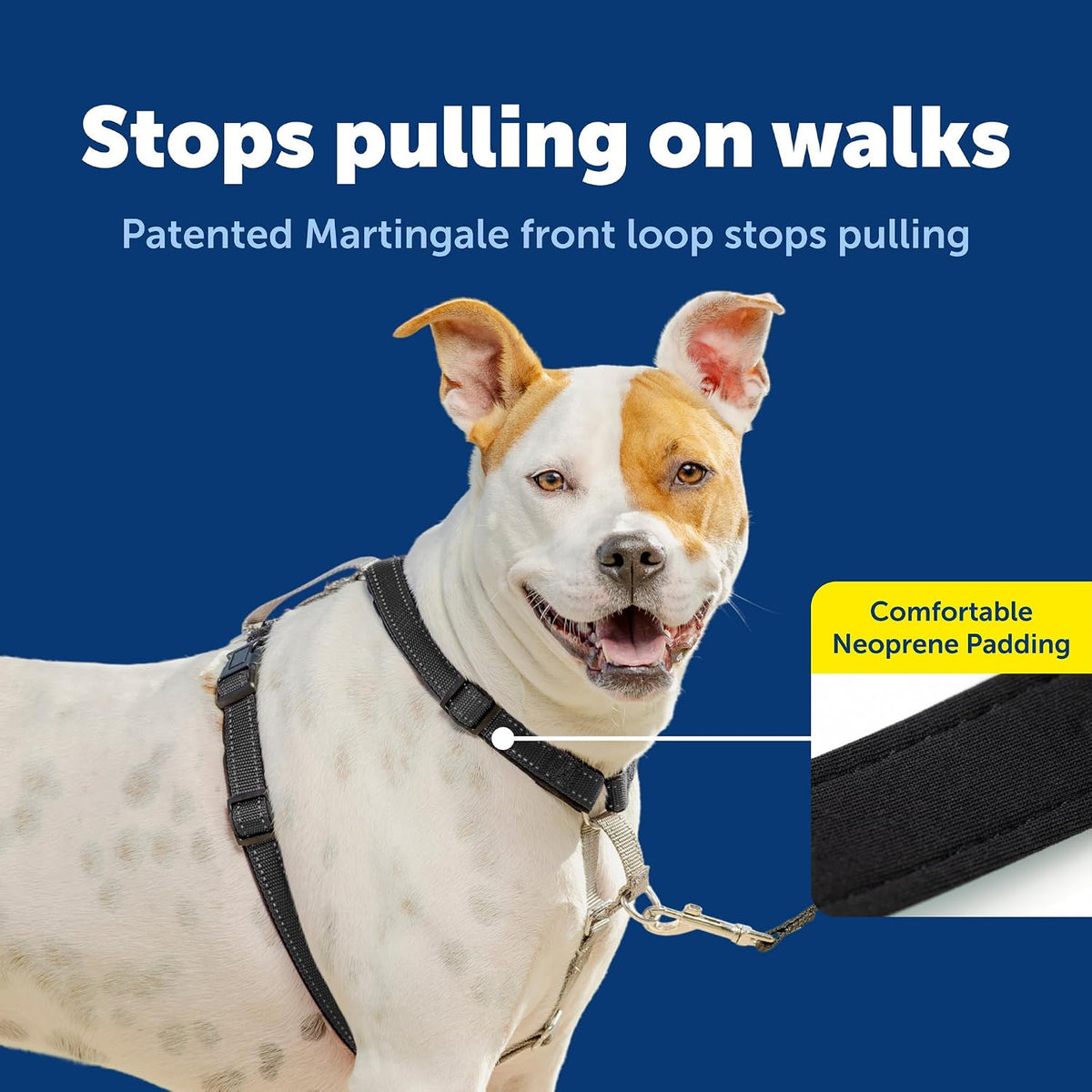 Easy Walk 3 in 1 No Pull Dog Harness, Teal, Small