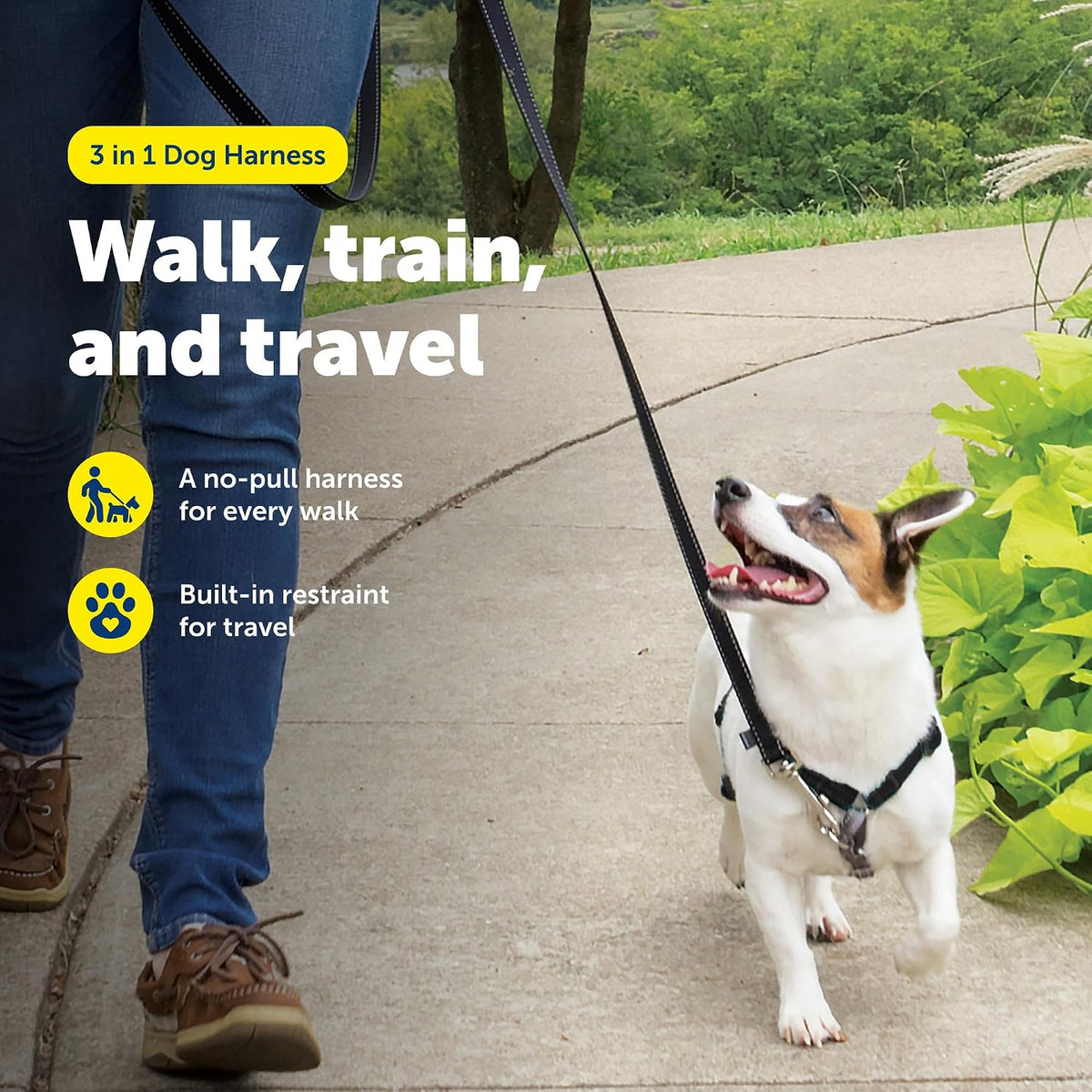 Easy Walk 3 in 1 No Pull Dog Harness, Teal, Small