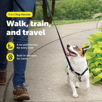 Easy Walk 3 in 1 No Pull Dog Harness, Teal, Small