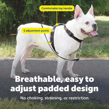 Easy Walk 3 in 1 No Pull Dog Harness, Teal, Small