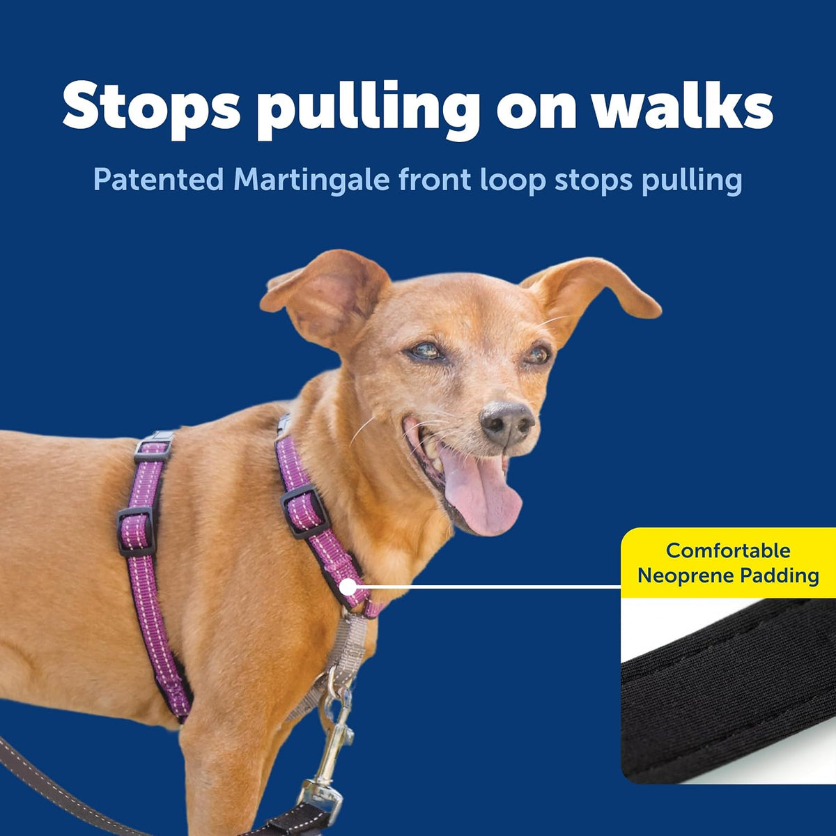 Easy Walk 3 in 1 No Pull Dog Harness, Teal, Small