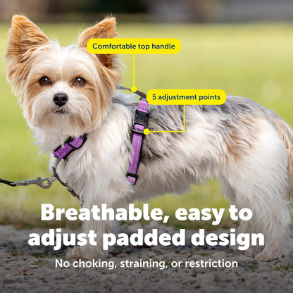 Easy Walk 3 in 1 No Pull Dog Harness, Teal, Small