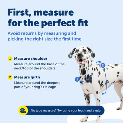 Easy Walk 3 in 1 No Pull Dog Harness, Teal, Small
