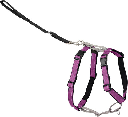 Easy Walk 3 in 1 No Pull Dog Harness, Teal, Small