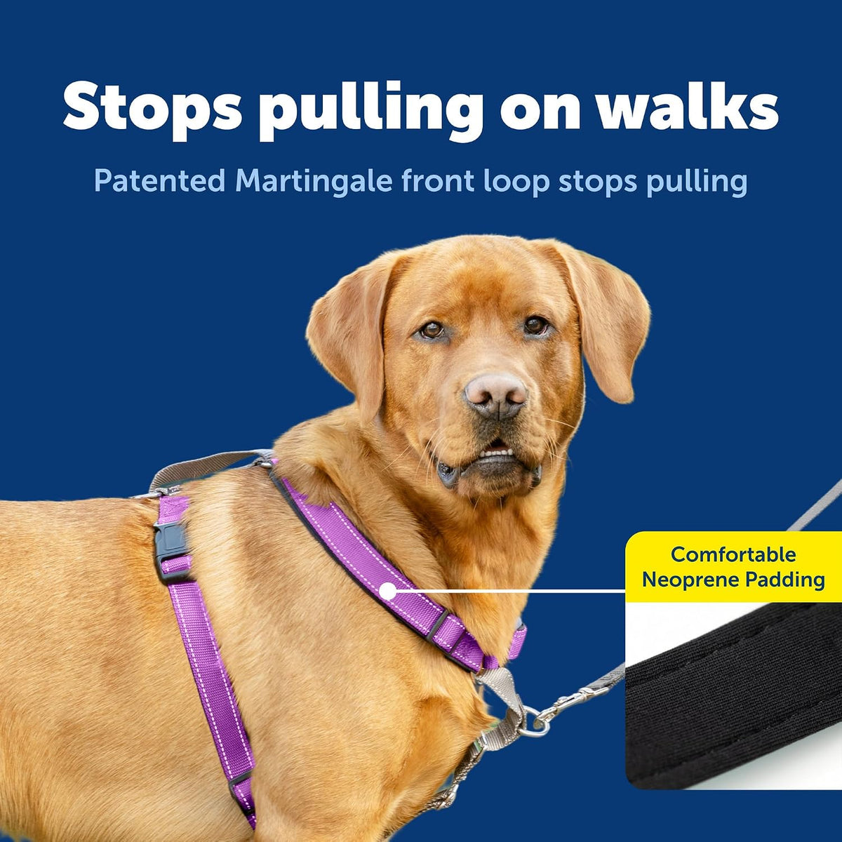 Easy Walk 3 in 1 No Pull Dog Harness, Teal, Small