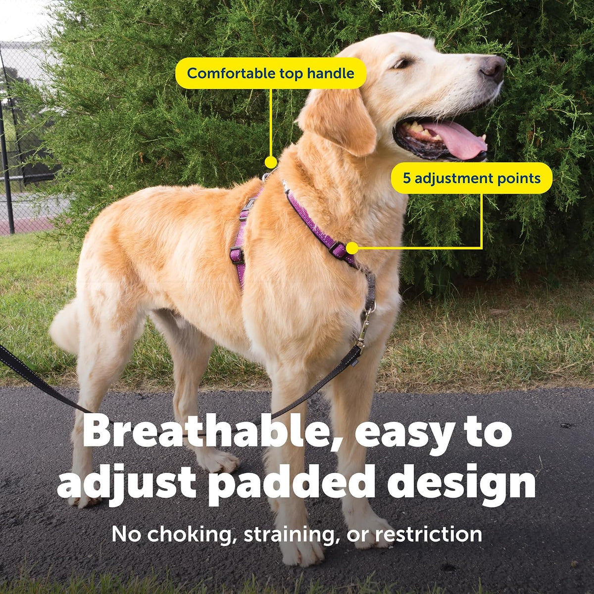 Easy Walk 3 in 1 No Pull Dog Harness, Teal, Small