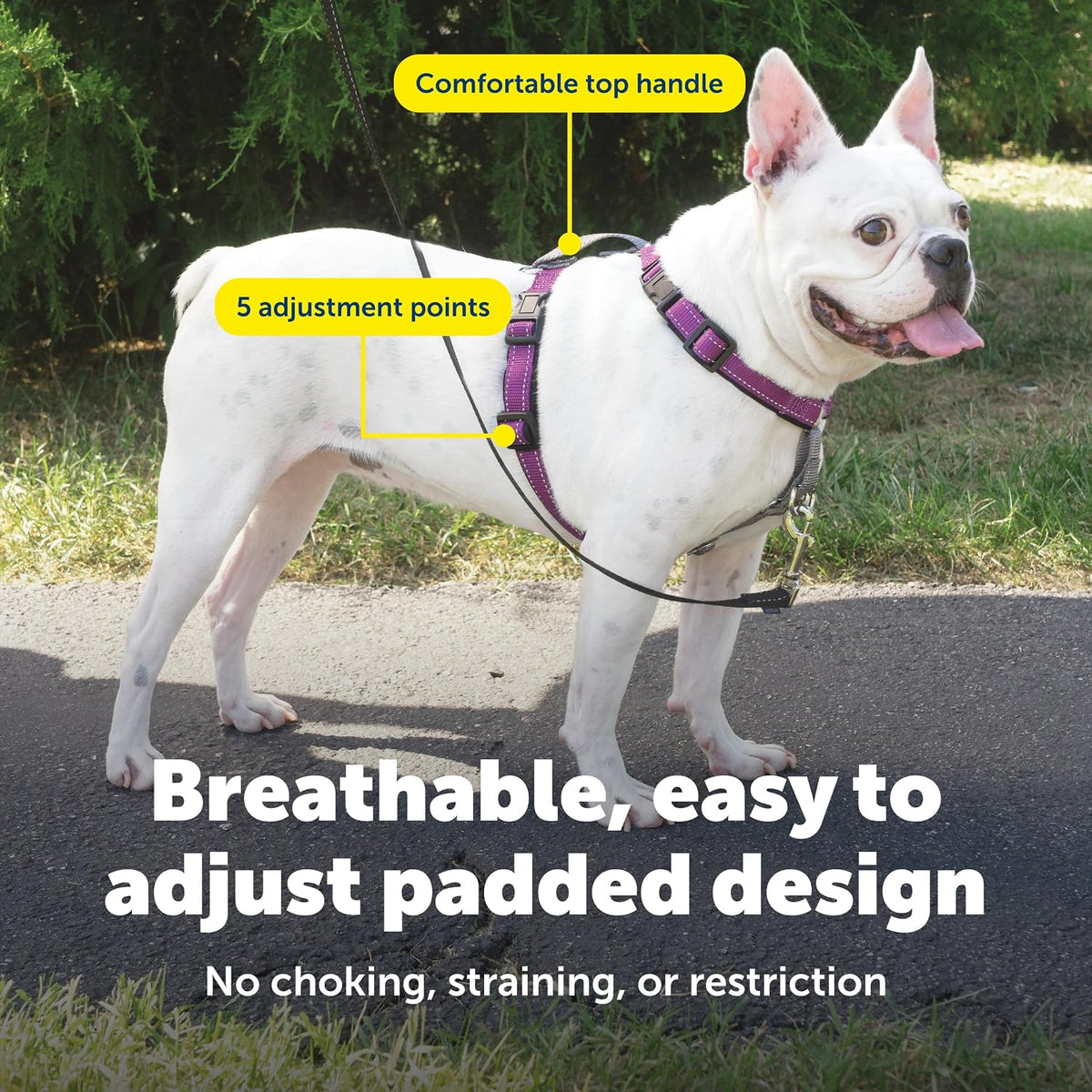 Easy Walk 3 in 1 No Pull Dog Harness, Teal, Small