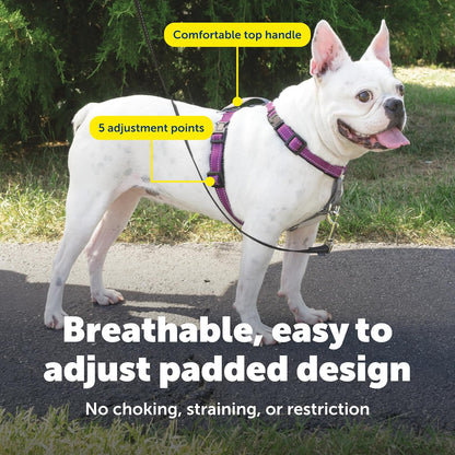 Easy Walk 3 in 1 No Pull Dog Harness, Teal, Small