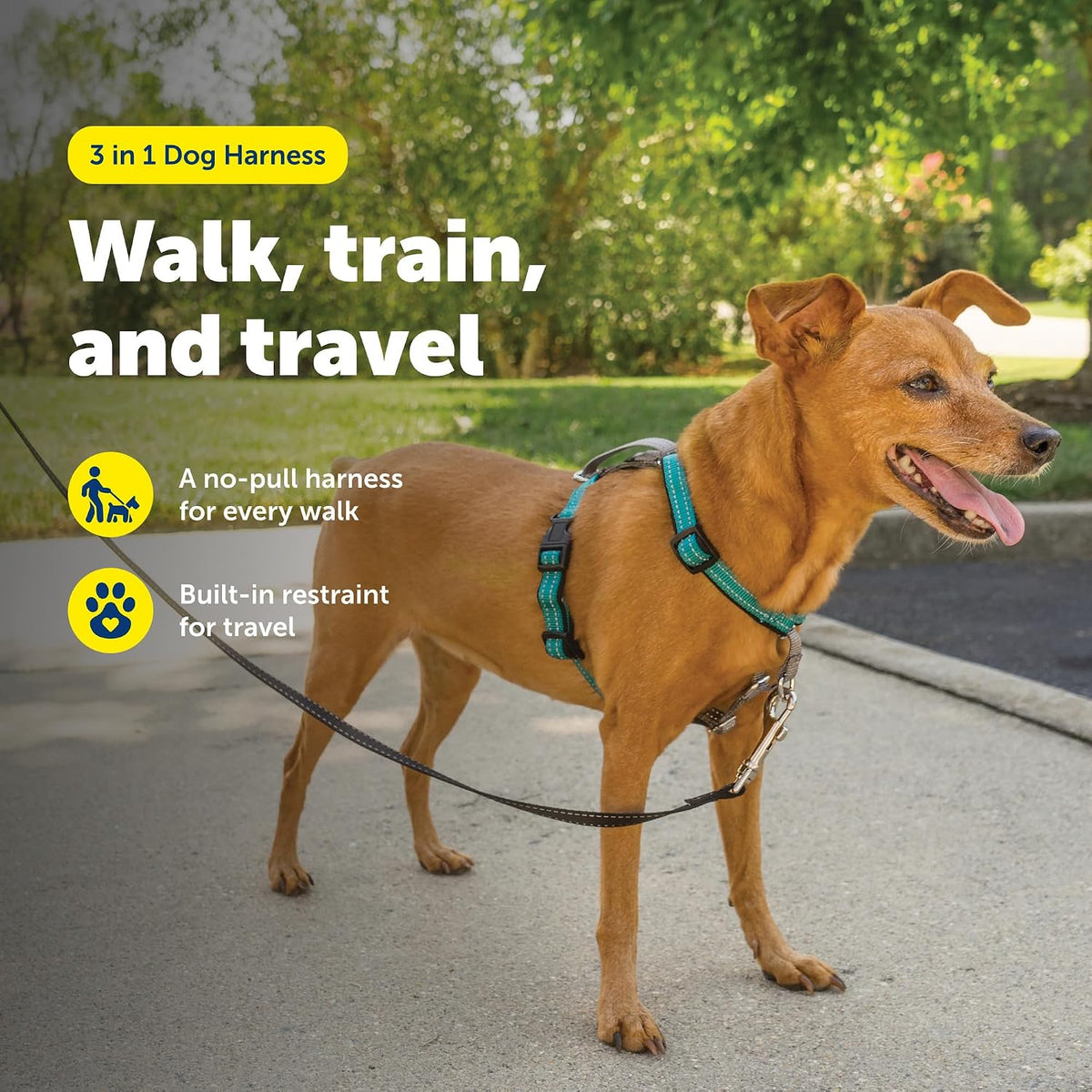 Easy Walk 3 in 1 No Pull Dog Harness, Teal, Small