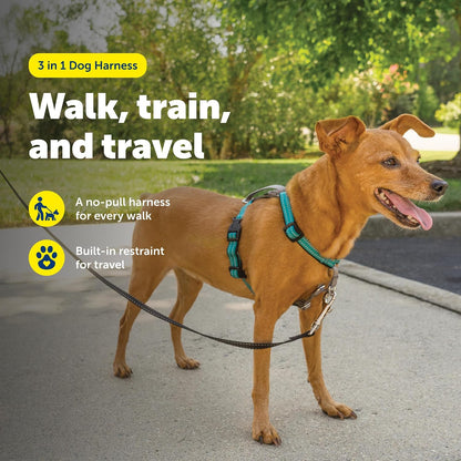 Easy Walk 3 in 1 No Pull Dog Harness, Teal, Small