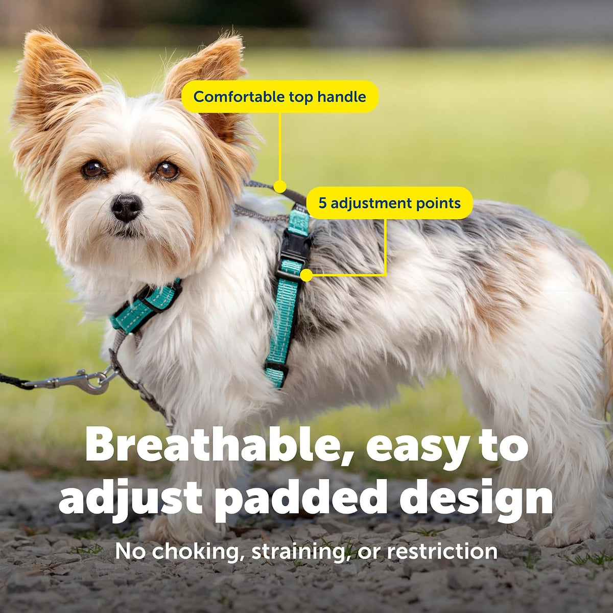 Easy Walk 3 in 1 No Pull Dog Harness, Teal, Small