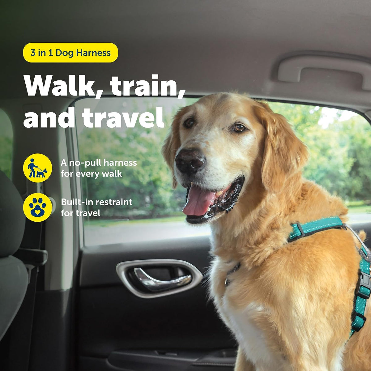 Easy Walk 3 in 1 No Pull Dog Harness, Teal, Small