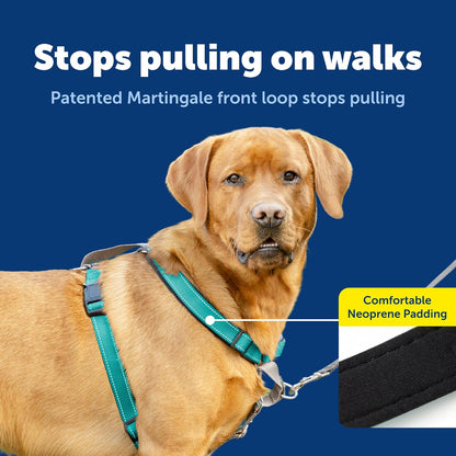 Easy Walk 3 in 1 No Pull Dog Harness, Teal, Small