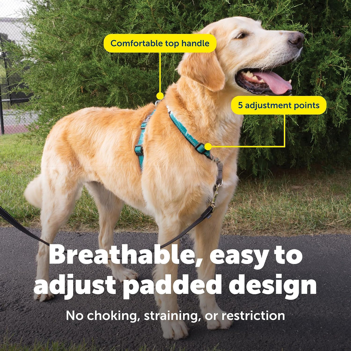 Easy Walk 3 in 1 No Pull Dog Harness, Teal, Small