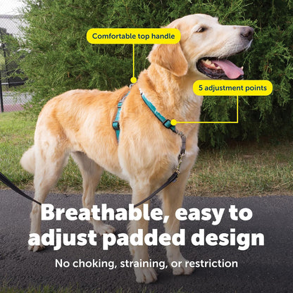 Easy Walk 3 in 1 No Pull Dog Harness, Teal, Small