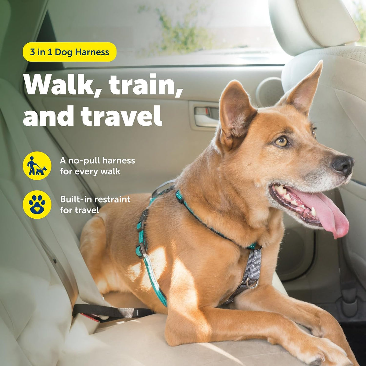 Easy Walk 3 in 1 No Pull Dog Harness, Teal, Small