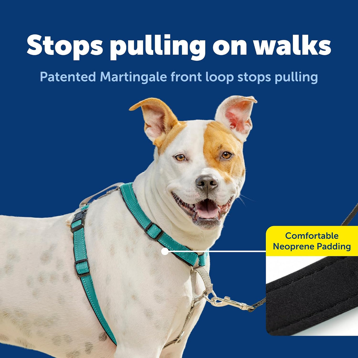 Easy Walk 3 in 1 No Pull Dog Harness, Teal, Small