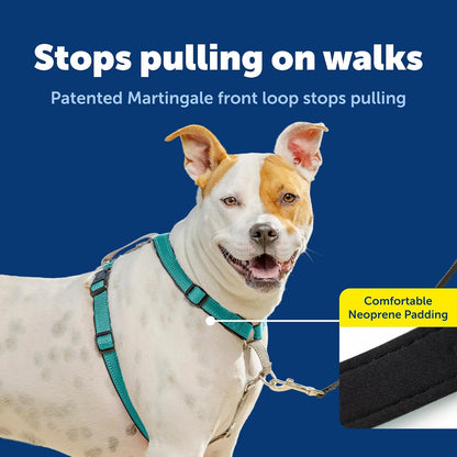 Easy Walk 3 in 1 No Pull Dog Harness, Teal, Small
