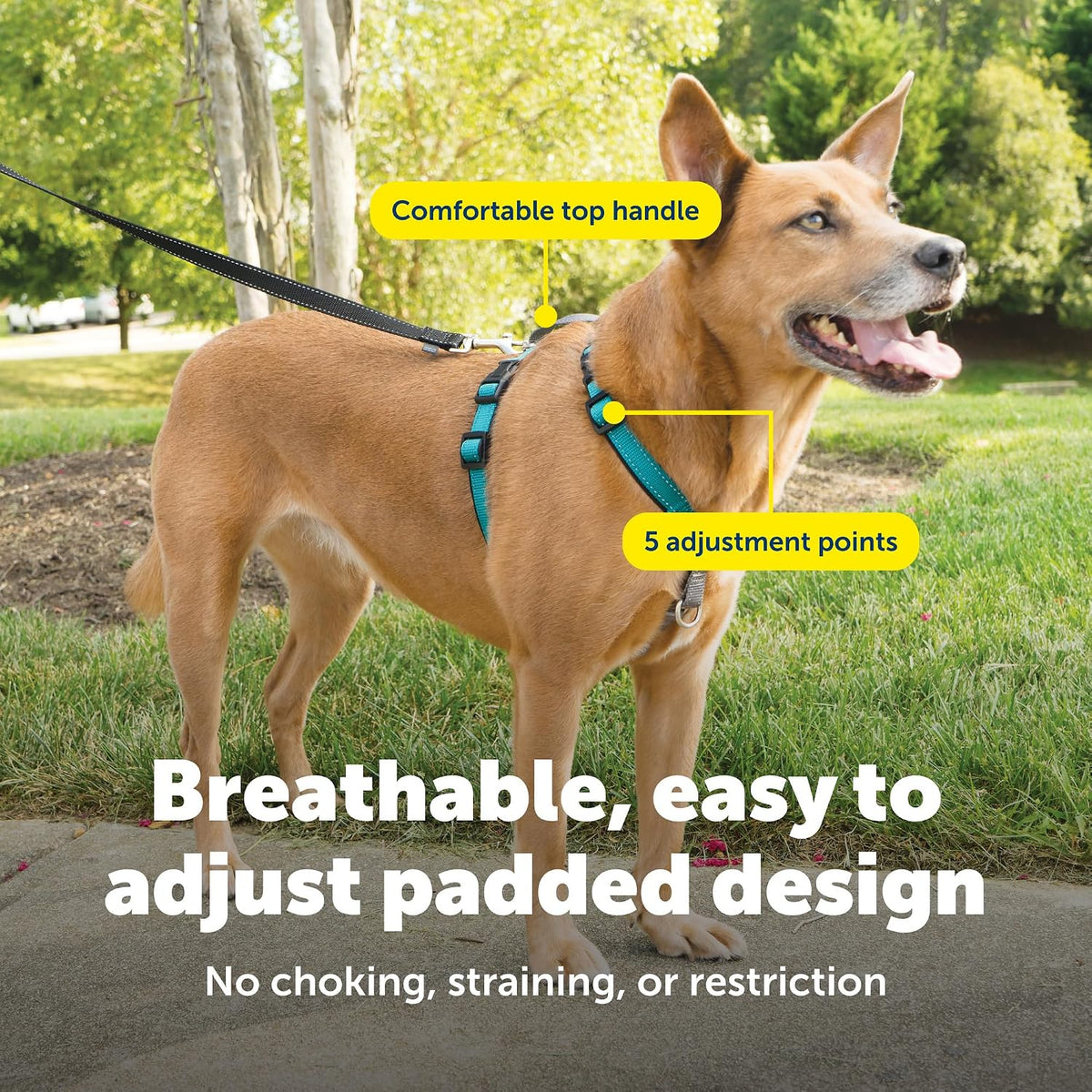 Easy Walk 3 in 1 No Pull Dog Harness, Teal, Small
