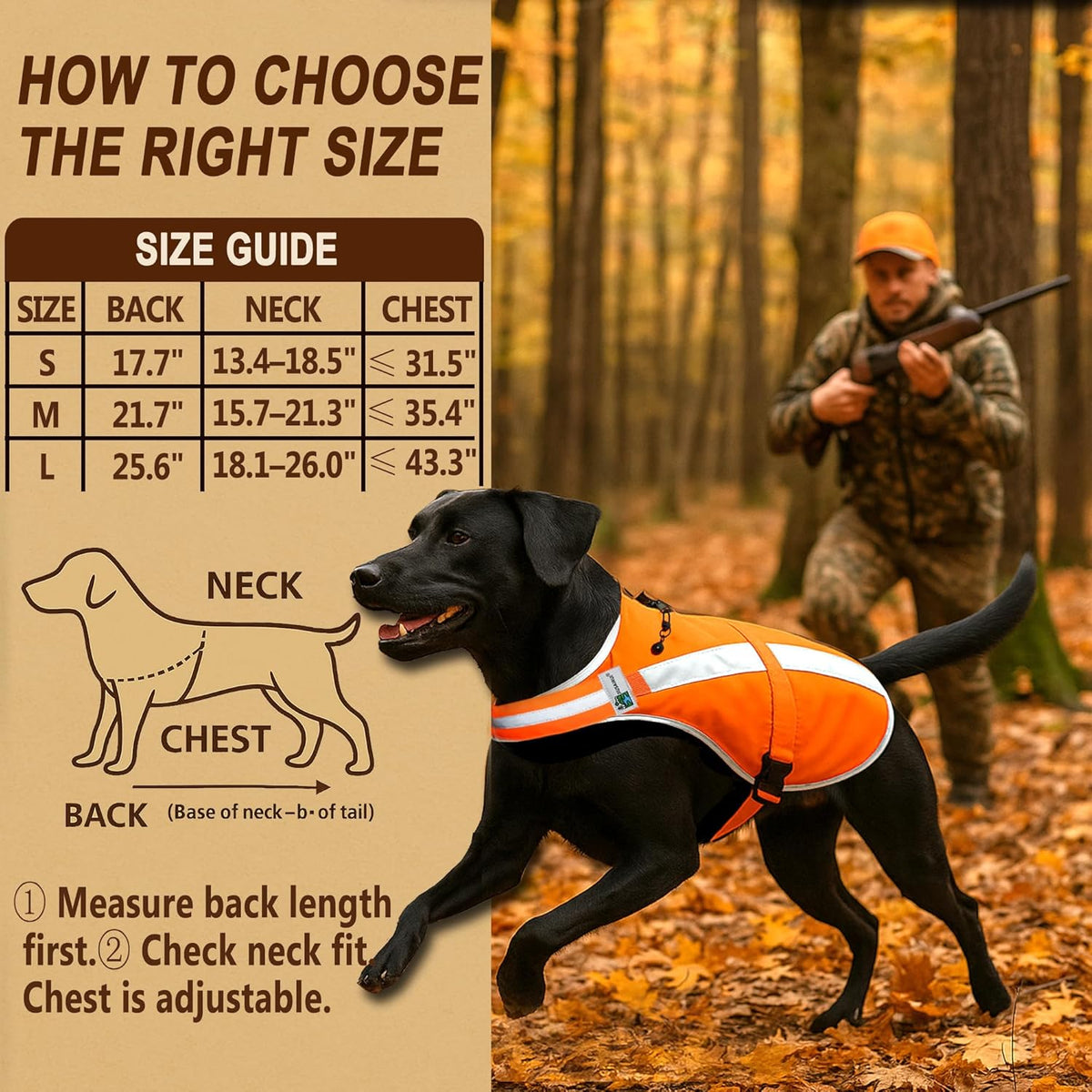 Reflective Dog Hunting Vest – Blaze Orange Safety Vest with Removable Bell, Waterproof and Lightweight (M)