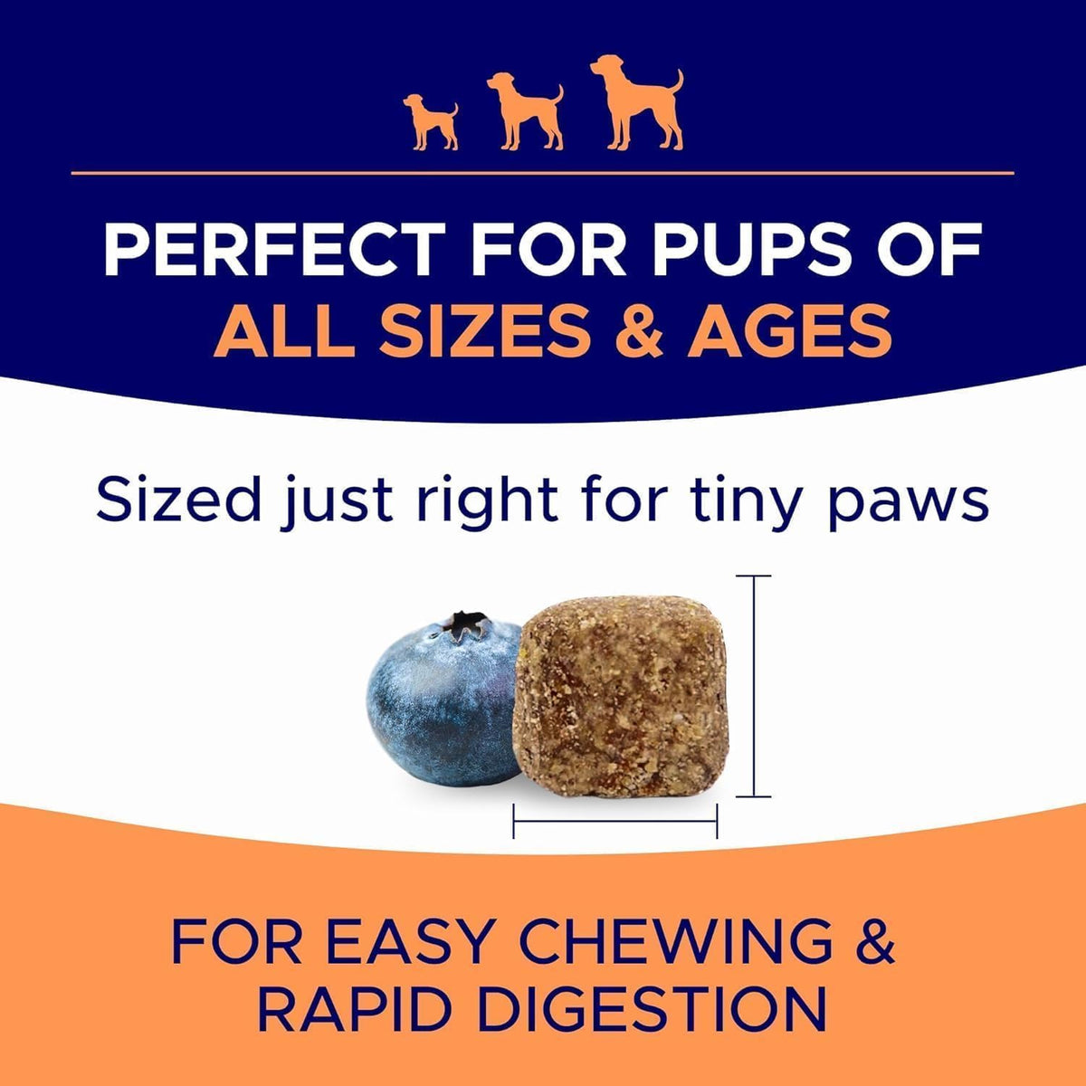 Dog Allergy Relief Chews - Anti-Itch Skin & Coat Supplement with Omega 3