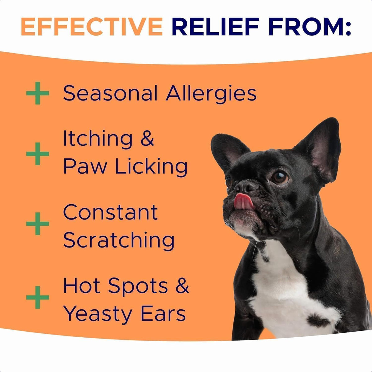 Dog Allergy Relief Chews - Anti-Itch Skin & Coat Supplement with Omega 3