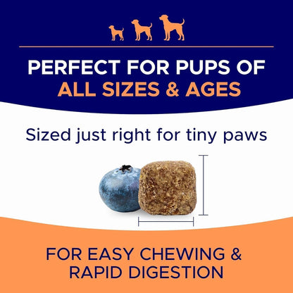 Dog Allergy Relief Chews - Anti-Itch Skin & Coat Supplement with Omega 3