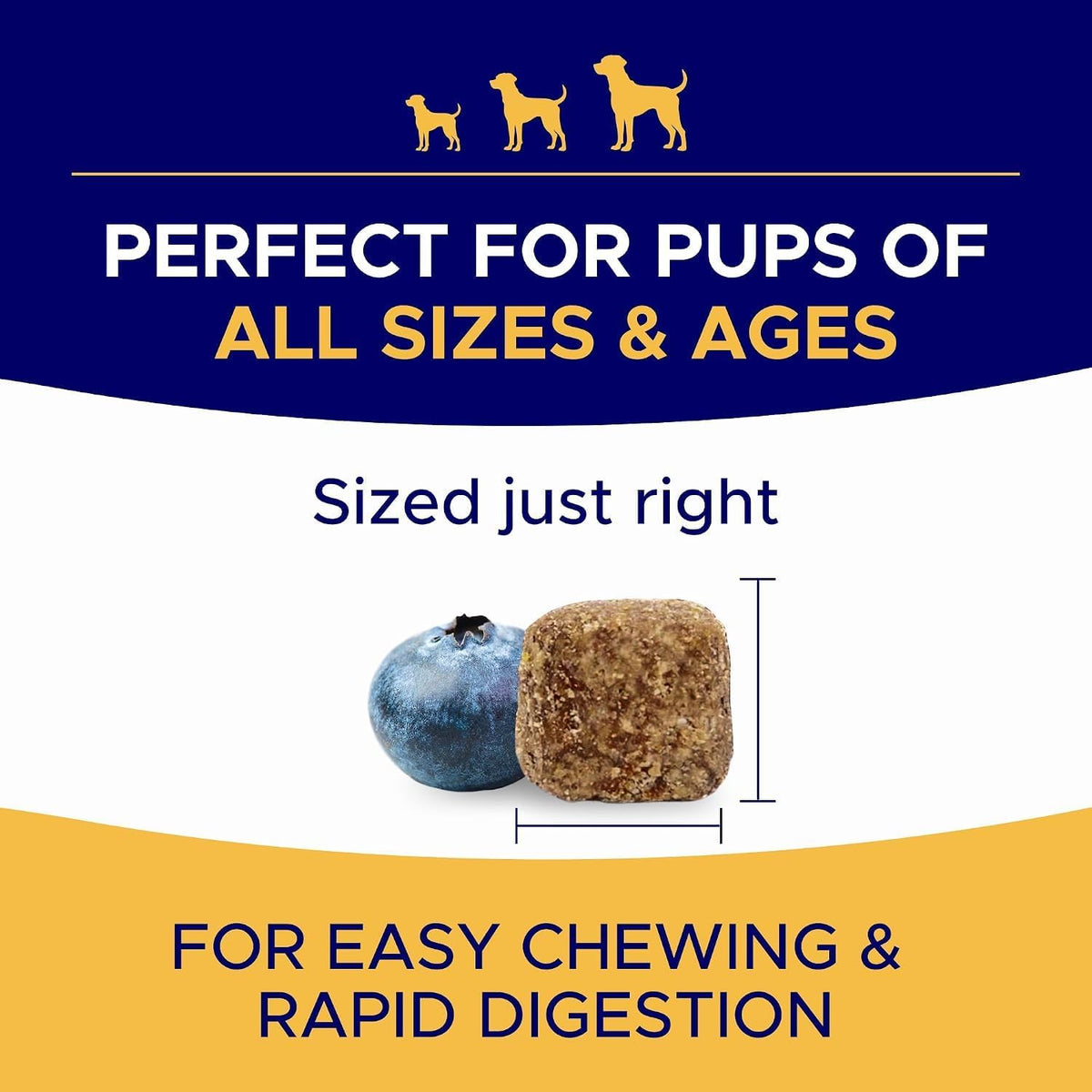 Dog Allergy Relief Chews - Anti-Itch Skin & Coat Supplement with Omega 3