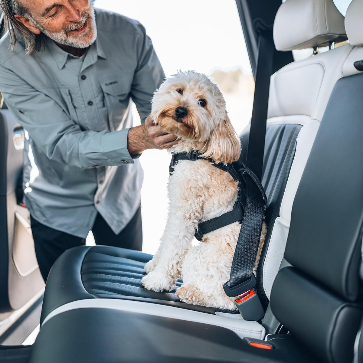 Cappy Dog Harness S, Seatbelt Passthrough, Leash Loop, Step-in Design